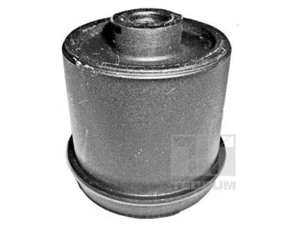Сайлентблок заднього важеля Лів/Прав (зовнішній задн/з передньої сторони) LANCIA LYBRA 1.6-2.4D 07.99-10.05 TEDGUM 00379951