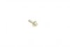 Колодки тормозные OPEL/PEUGEOT CORSA/208/2008 19- (с противошумной пластиной Q+) зад. TEXTAR 2619501 (фото 6)