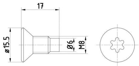 Болт диска тормозного РЕЗЬБА M8x1/25/ДЛИНА 17/ВНУТРЕННИЙ TORX (компл. 2 шт.) TEXTAR TPM0004