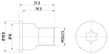 Болт кріплення гальмівного диска TEXTAR TPM0005
