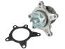 Насос охолоджуючої рідини THERMOTEC D10327TT (фото 2)