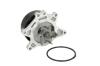 Насос охолоджуючої рідини THERMOTEC D12083TT (фото 1)