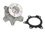 Насос охолоджуючої рідини THERMOTEC D12093TT (фото 1)