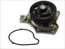 Насос охолоджуючої рідини, з ущільненням MAZDA 2, 3 1.3-1.6 10.03-05.19 THERMOTEC D13041TT (фото 2)