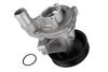 Помпа двигателя FORD TRANSIT 2000-2014 (2.4TDCI) THERMOTEC D1G056TT (фото 1)