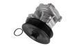 Помпа двигателя FORD TRANSIT 2000-2014 (2.4TDCI) THERMOTEC D1G056TT (фото 2)