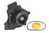 Насос водяной THERMOTEC D1W052TT (фото 1)