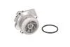 Насос охолоджуючої рідини THERMOTEC D1W058TT (фото 1)