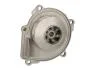Насос охолоджуючої рідини THERMOTEC D1Y077TT (фото 1)