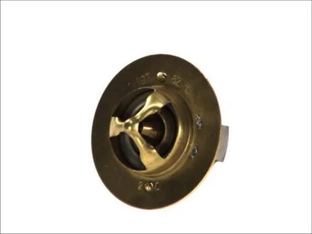 Термостат, охолоджувальна рідина THERMOTEC D2DA002TT