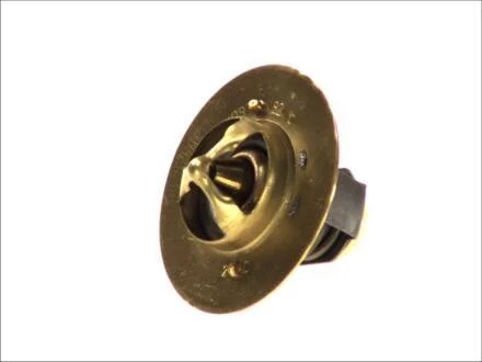 Термостат системы охлаждения DAF LF 45, LF 55 BE110C-GR220 01.01- THERMOTEC D2DA003TT