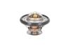 Термостат системи охолодження THERMOTEC D2DE001TT (фото 1)