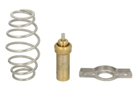 Термостат, охолоджувальна рідина THERMOTEC D2IV008TT