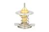 Термостат THERMOTEC D2M004TT (фото 1)