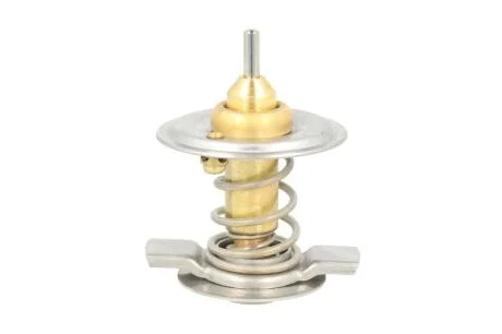 Термостат, охолоджувальна рідина THERMOTEC D2M004TT