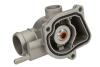 Термостат THERMOTEC D2M007TT (фото 2)