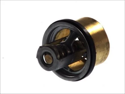 Термостат, охолоджувальна рідина THERMOTEC D2RV002TT