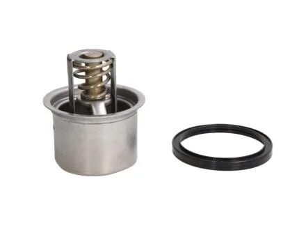 Термостат, охолоджувальна рідина THERMOTEC D2RV004TT