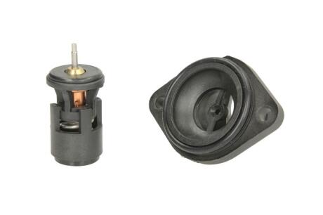 Термостат системи охолодження THERMOTEC D2W004TT