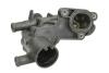 Термостат THERMOTEC D2W009TT (фото 1)