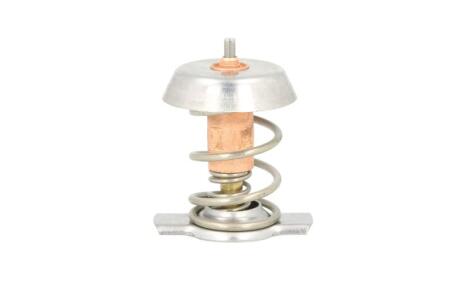 Термостат THERMOTEC D2X002TT