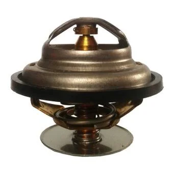 Термостат, охолоджувальна рідина THERMOTEC D2ZE001TT