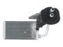 Радіатор пічки NISSAN INTERSTAR OPEL MOVANO A RENAULT MASTER II, MASTER PRO 1.9D-3.0D 12.97- THERMOTEC D6R014TT (фото 1)