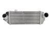 Интеркулер THERMOTEC DA05002TT (фото 1)