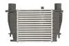 Інтеркулер NISSAN CUBE, JUKE, NOTE, NV200, NV200 / EVALIA, TIIDA RENAULT CLIO III, CLIO III/HATCHBACK, MODUS 1.2-1.6 09.04- THERMOTEC DA1003TT (фото 1)