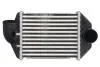 Інтеркулер THERMOTEC DAA028TT (фото 1)