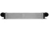 Интеркулер THERMOTEC DAB006TT (фото 1)