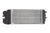 Интеркулер THERMOTEC DAC002TT (фото 2)