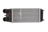 Інтеркулер THERMOTEC DAC003TT (фото 1)
