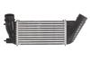 Впускний охолоджувач повітря THERMOTEC DAC006TT (фото 1)