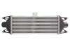 Интеркулер THERMOTEC DAE001TT (фото 2)