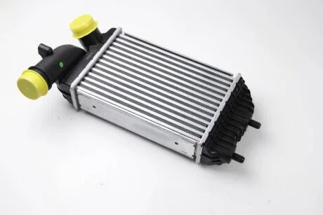 Радіатор интеркулера Ducato/Jumper 02-06 THERMOTEC DAF001TT