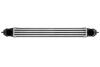 Інтеркулер THERMOTEC DAF003TT (фото 1)