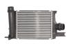 Інтеркулер DACIA DOKKER, DOKKER/MINIVAN, DUSTER, DUSTER/SUV, LODGY, LOGAN II, LOGAN MCV II, SANDERO II RENAULT ARKANA I, CAPTUR I, CLIO IV, CLIO IV/HATCHBACK, CLIO IV/KOMBI 0.9-1.6LPG 02.08- THERMOTEC DAR004TT (фото 1)