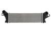 Впускний охолоджувач повітря THERMOTEC DAR019TT (фото 1)