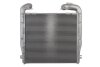 Интеркулер THERMOTEC DASC004TT (фото 1)