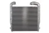 Интеркулер THERMOTEC DASC004TT (фото 1)