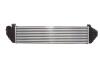 Інтеркуллер THERMOTEC DAV004TT (фото 2)