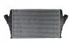 Интеркулер THERMOTEC DAX002TT (фото 1)