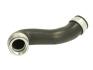 Патрубок охладителя воздуха (НИЖНИЙ) AUDI A3, SEAT CORDOBA, IBIZA IV, LEON, SKODA FABIA I, OCTAVIA I, ROOMSTER, VW BORA, GOLF IV, NEW BEETLE, POLO 1.9D 01.00-12.10 THERMOTEC DCW086TT (фото 1)