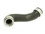 Шланг інтеркулера (Нижн/Випускна сторона) AUDI A3 SEAT CORDOBA, IBIZA III, LEON SKODA FABIA I, OCTAVIA I, ROOMSTER VW BORA, BORA I, GOLF IV, NEW BEETLE, POLO IV 1.9D 01.00-12.10 THERMOTEC DCW086TT (фото 1)