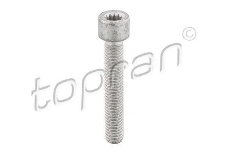 Болт на гранату Audi/VW 1.6/1.8E/1.9D внут. (x12) TOPRAN / HANS PRIES 104 306