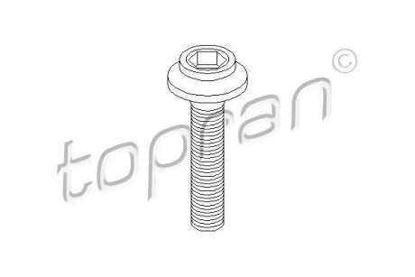 Гвинт привідного валу TOPRAN 108 139
