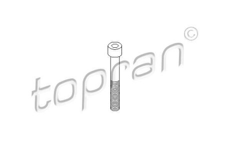 Болти направляючих суппорта TOPRAN / HANS PRIES 110 707