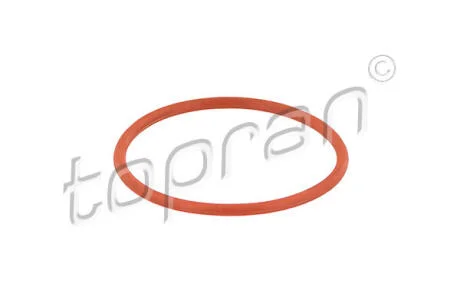 Про-ка под дросель.заслонку Audi 1.9/2.0TDi, 3.0T (01-17) VW T-5/Caddy 3/Golf 5/B-6 1.9/2.0TDi (x1/x2) TOPRAN / HANS PRIES 115 583