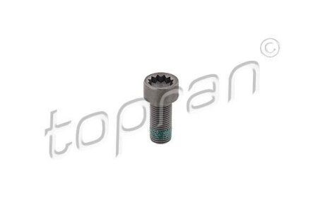 Болт крепления маховика (M10x1x22) (6/8 штук на авто) VAG 1.4-2.0 FSI/TDI TOPRAN / HANS PRIES 117 243
